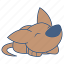 profile-image
